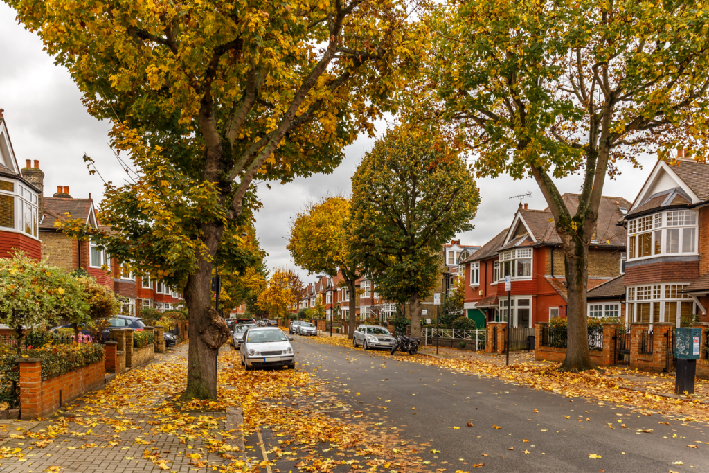 Street of Houses in the UK