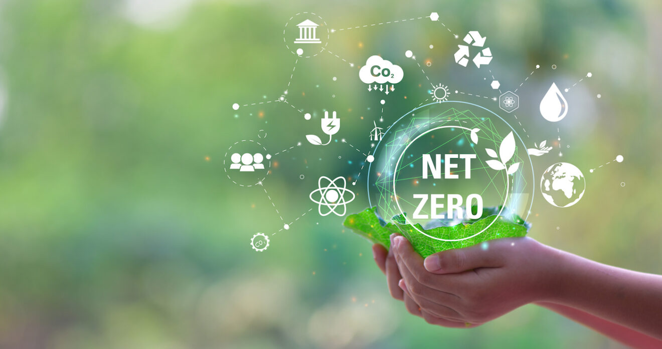 One tech business’s journey to net zero and beyond | SME Today