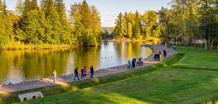 People walking in park. green spaces