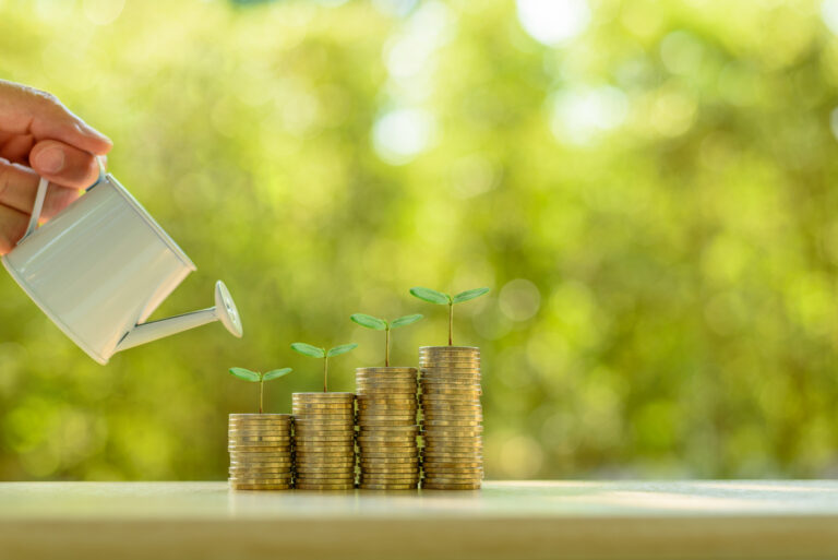 Fund investment / portfolio management for long term sustainable growth concept : Investor pours water from watering can, sprout on rows of rising coins, depicts money gain from financial investment.